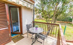 Apartment Darinka
